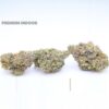 PERMIUM INDOOR FLOWER