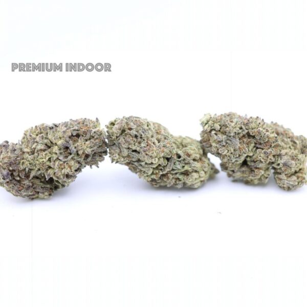 PERMIUM INDOOR FLOWER
