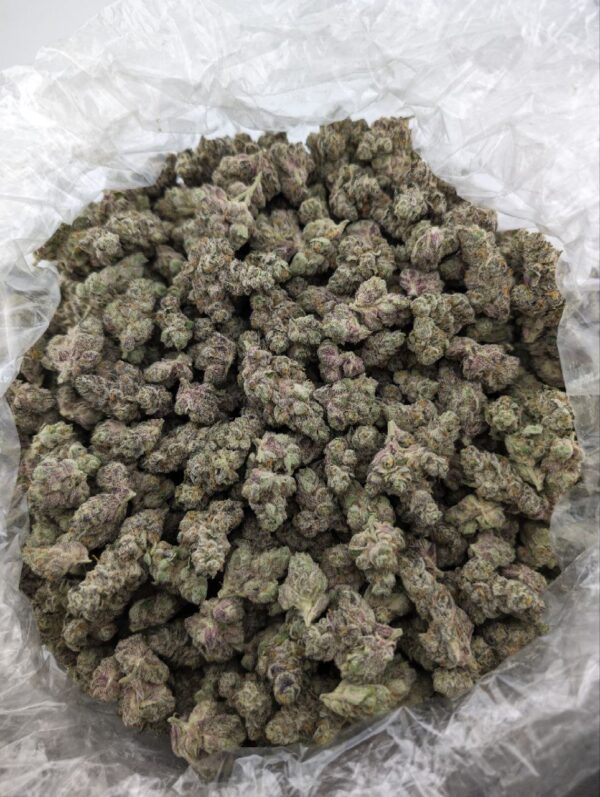 GRAPE AMBROSIA | INDOOR EXOTIC (BIGS) (EU)