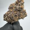 ETHER BERRIEZ | INDOOR EXOTIC (BIGS)