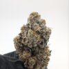 Opal x Runtz | INDOOR EXOTIC (BIGS)(EU)