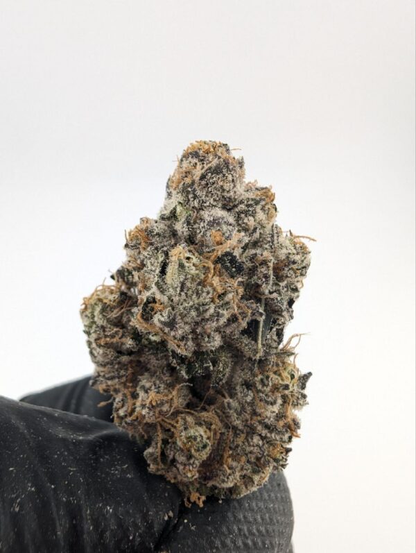 Opal x Runtz | INDOOR EXOTIC (BIGS)(EU)