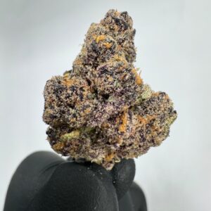 ETHER BERRIEZ | INDOOR EXOTIC (BIGS)