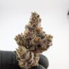 GRAPE AMBROSIA | INDOOR EXOTIC (BIGS) (EU)