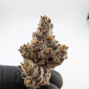 GRAPE AMBROSIA | INDOOR EXOTIC (BIGS) (EU)