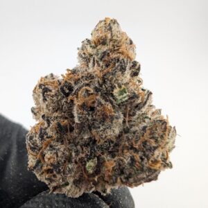 Opal x Runtz | INDOOR EXOTIC (BIGS)(EU)