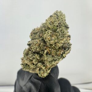 LCG X OG | INDOOR EXOTIC (BIGS)