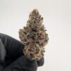 GOLD DUST | INDOOR EXOTIC (BIGS)