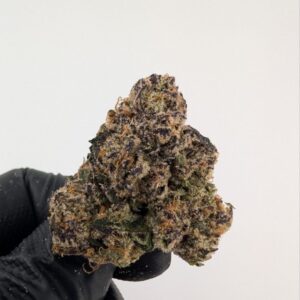 BLUE ANDEEZE | INDOOR EXOTIC (BIGS)